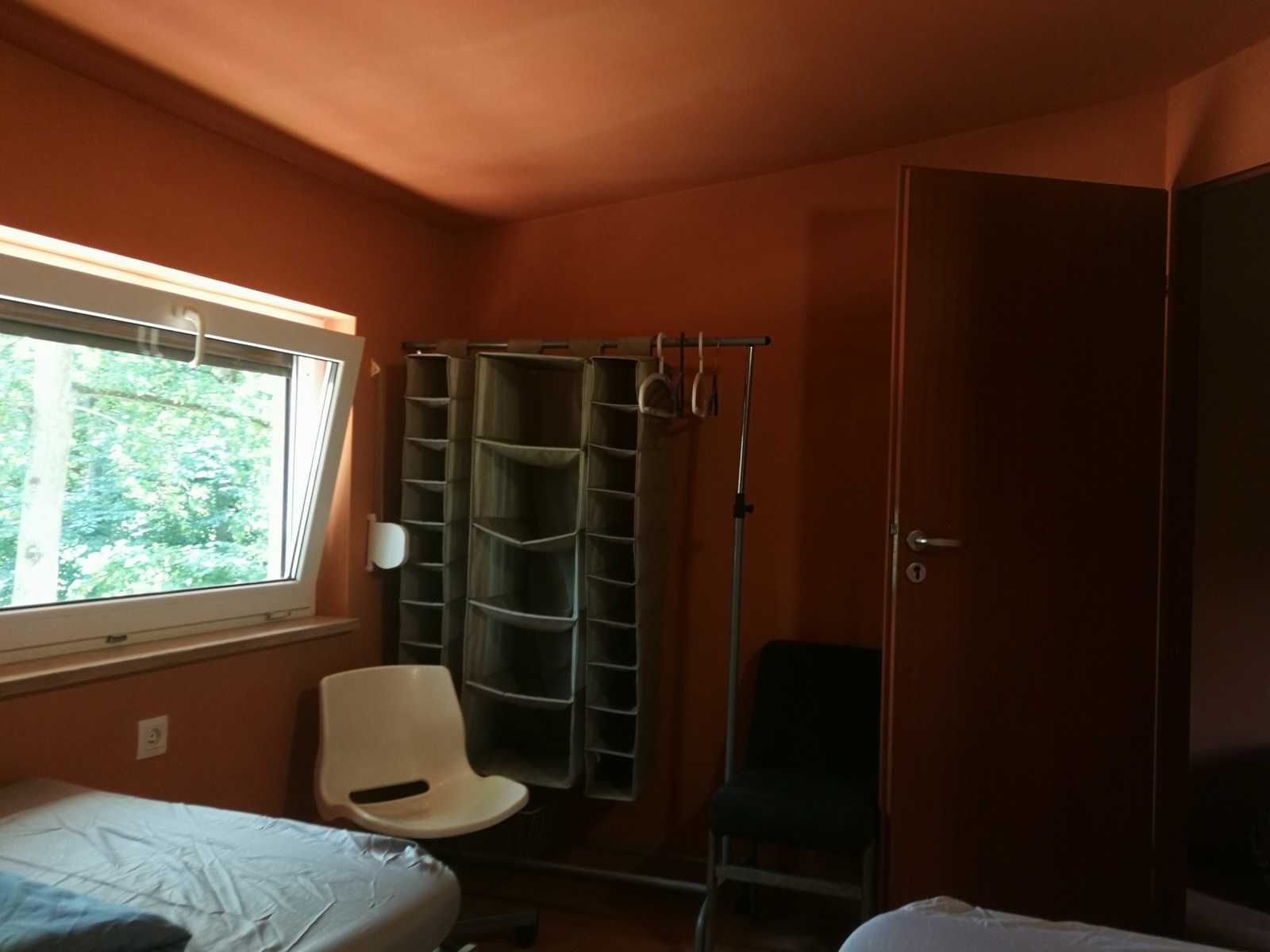 Elgiszewo, domki  jezioro, Okonin, Toruń, Golub Dobrzyń