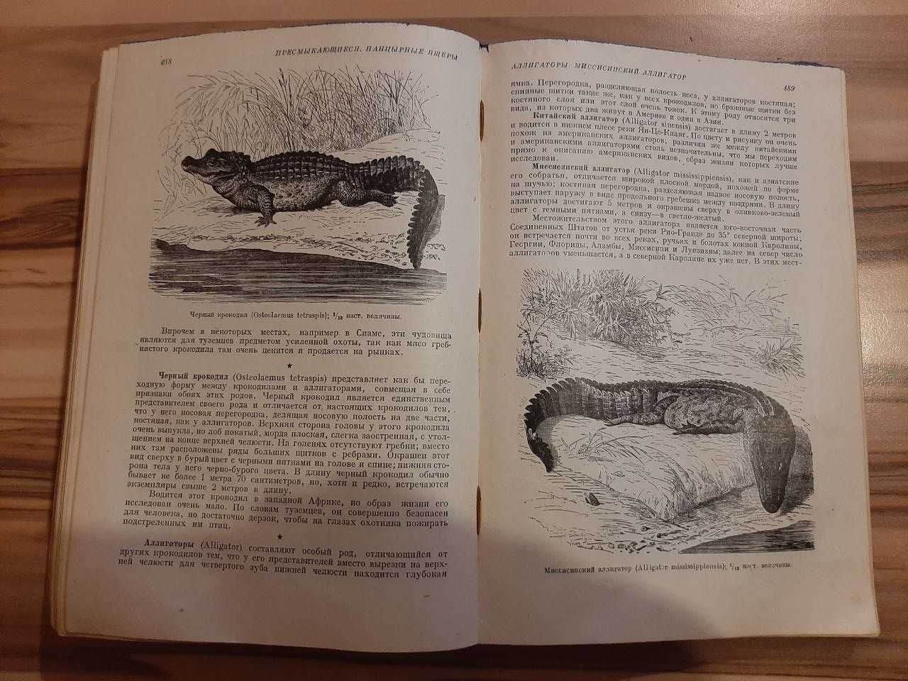Антикварная Книга "Жизнь животных по А.Э. Брэму", Том I, 1931г.
