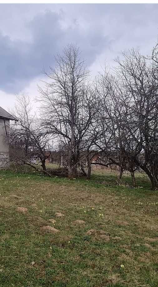 Земельна ділянка з будинком