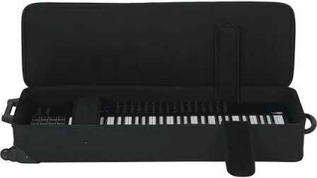 TECLADO KORG PA 700 - Com Case Gator