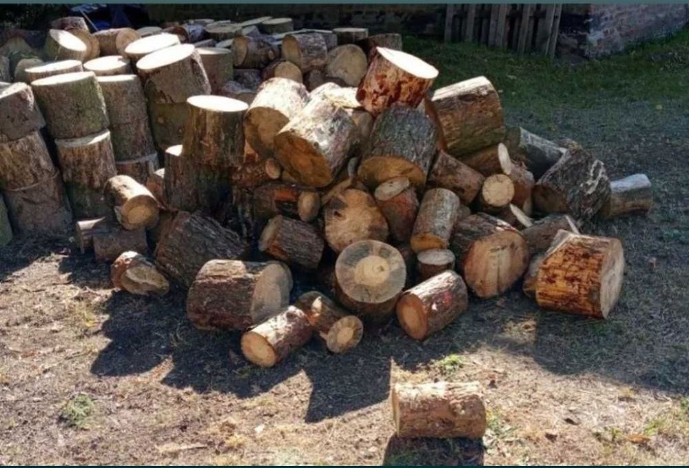 Sosna klocki i dowóz