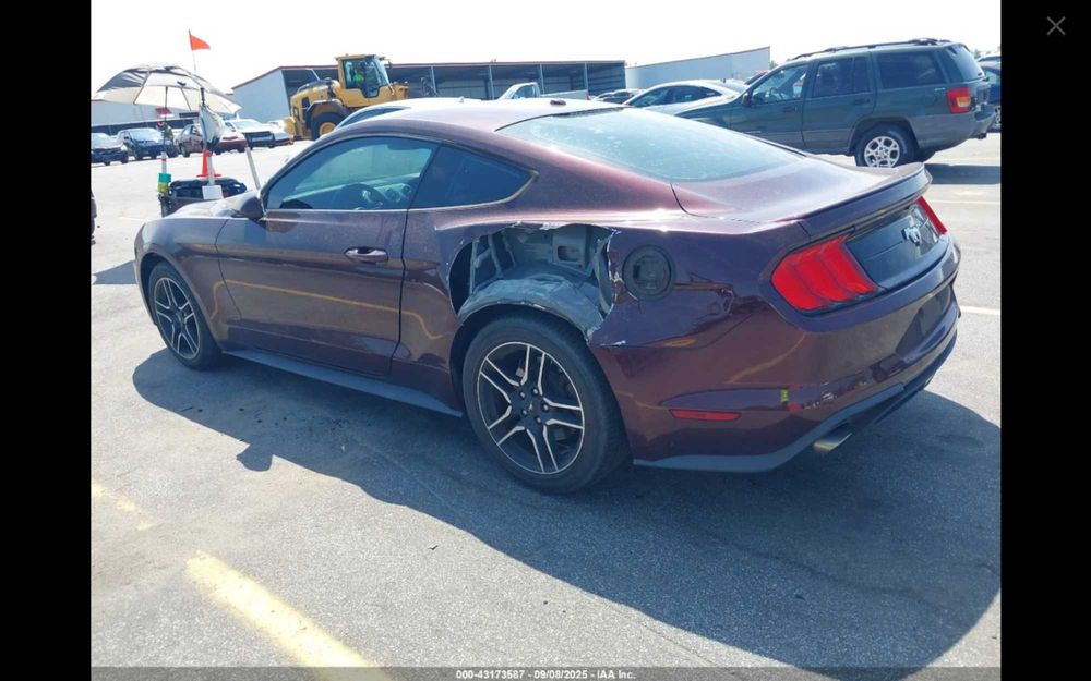 Ford Mustang 2.3 EcoBoost 289KM - w drodze do Polski