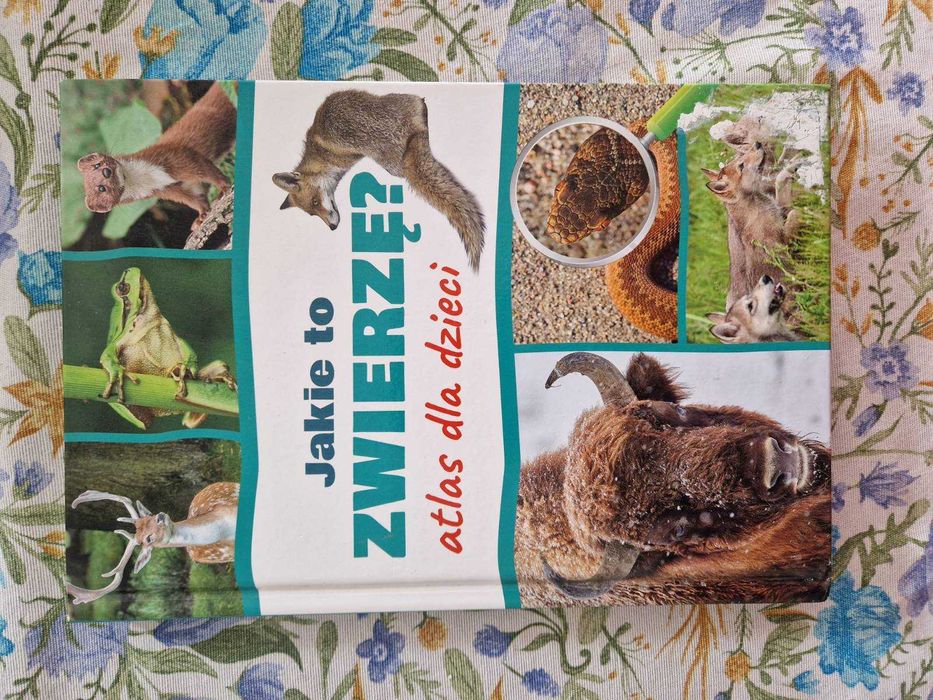 Jakie to zwierzę? Atlas dla dzieci