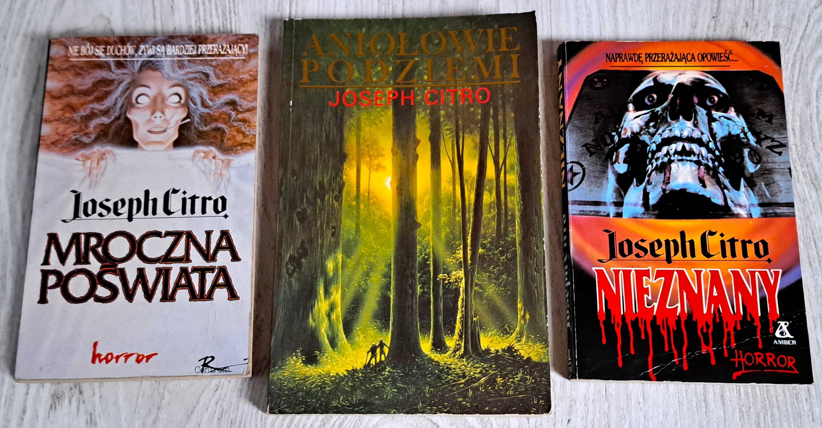 3x Joseph Citro Mroczna poświata + Nieznany + Aniołowie podziemi BDB