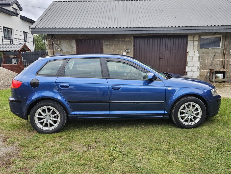 Audi a3 8p 1.9tdi (s line)