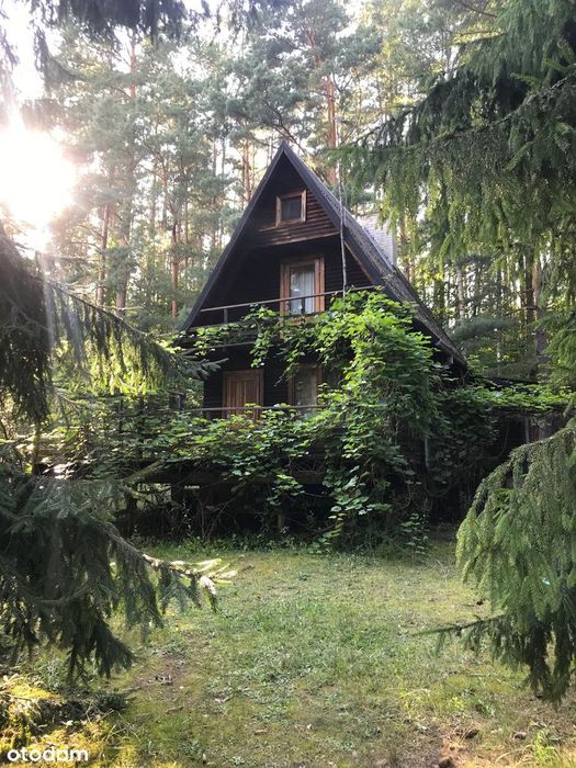 Dom letniskowy na sprzedaż, działka 700m2 PLUSKI