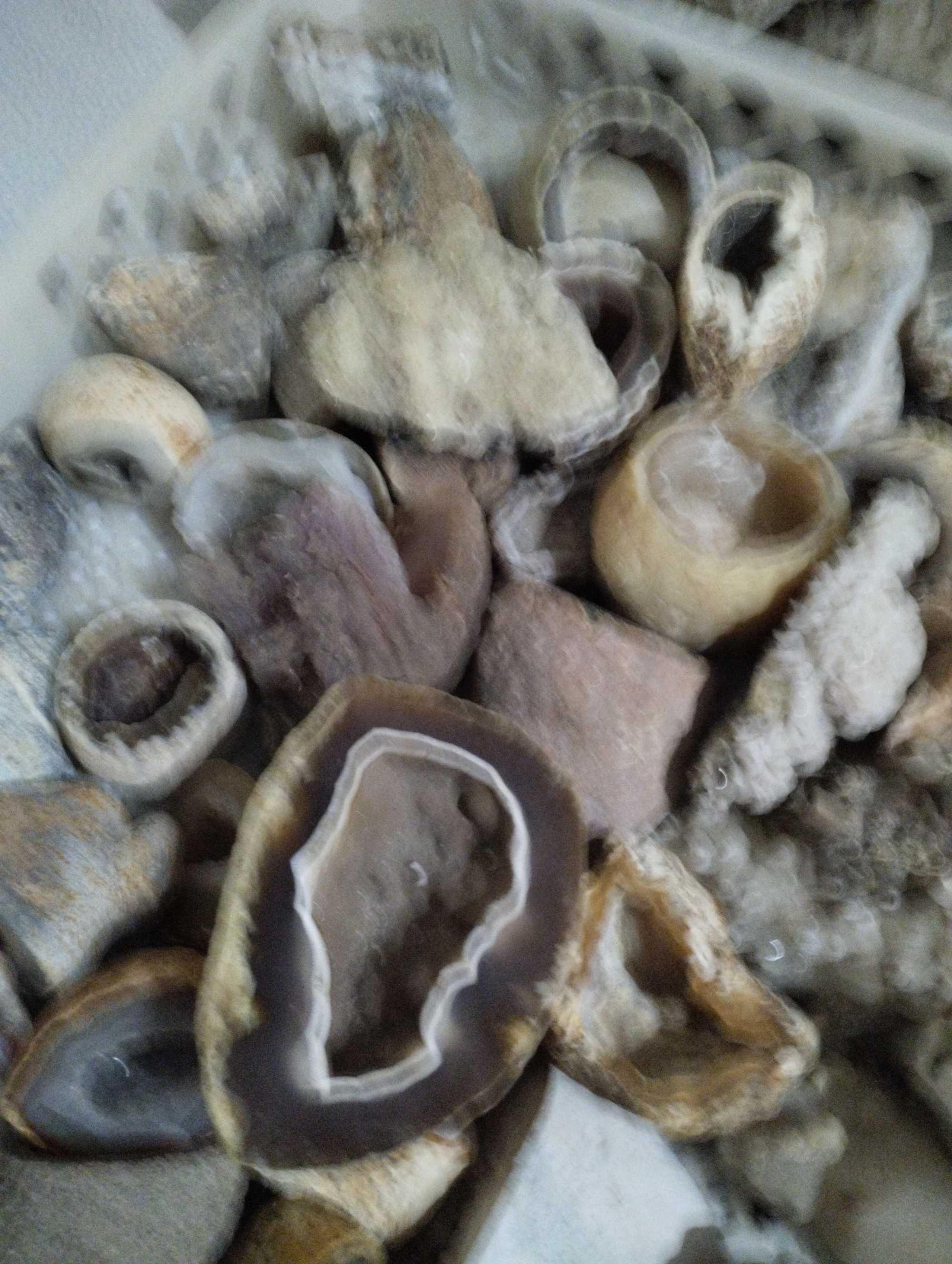 Vários minerais para venda