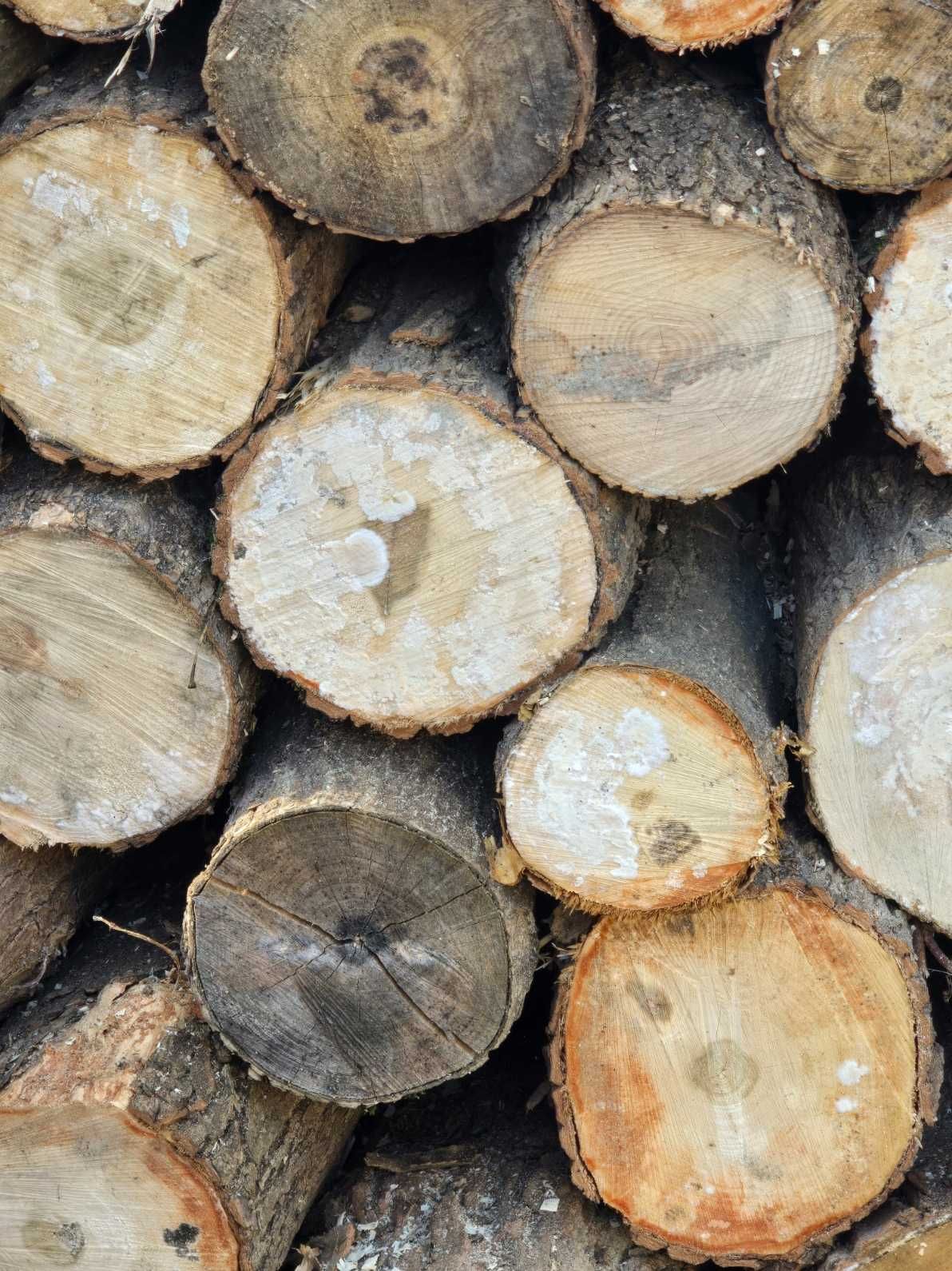 Drewno opałowe pocięte na klocki
