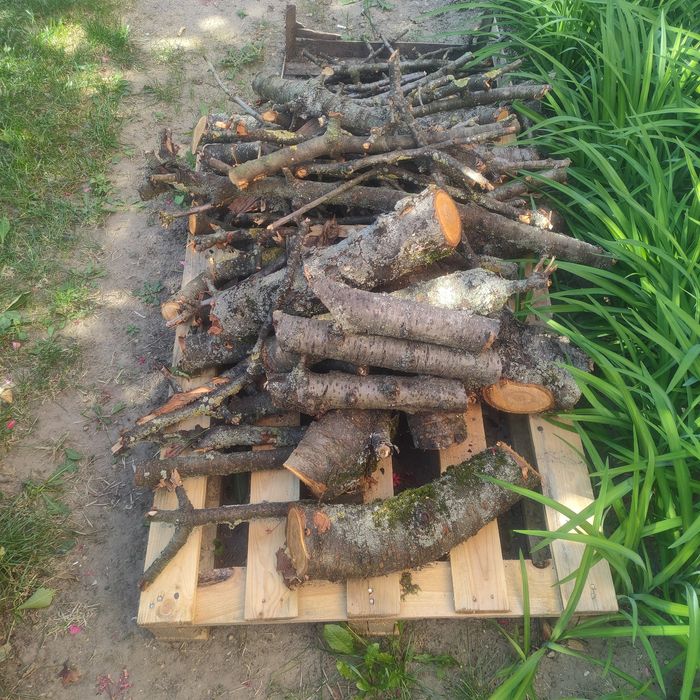 Drzewo z czereśni do wędzenia