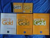 Going For Gold Pre-Intermediate Plus