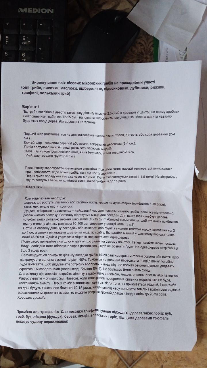 Міцелій Підберезника звичайного (живий 100гр)
