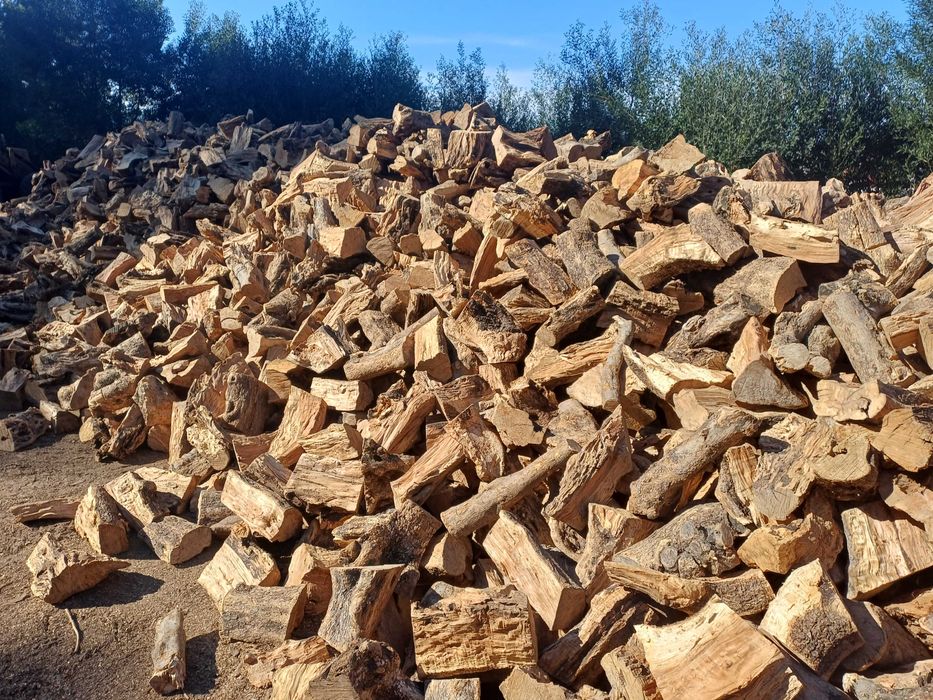 Vendo varios tipo de lenha