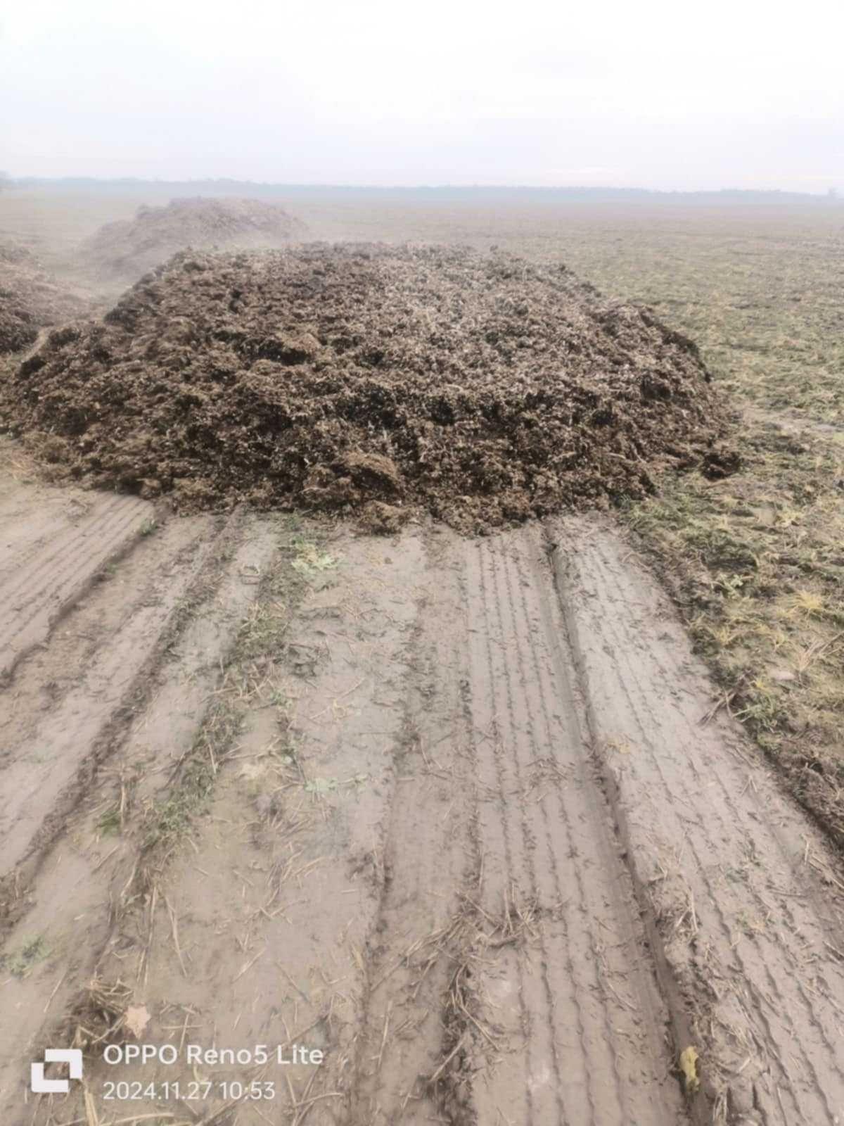 Pomiot Kurzy z chowu klatkowego