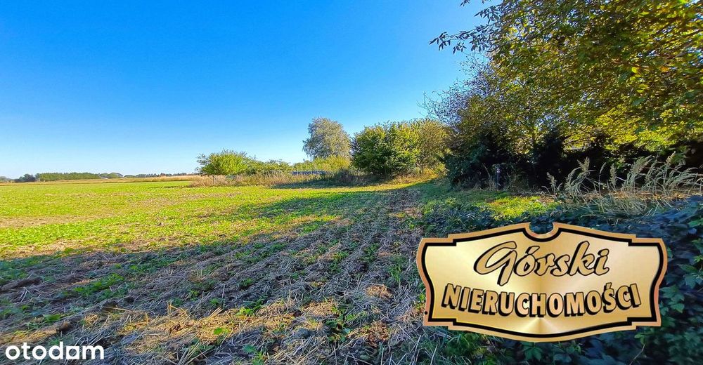 Działka budowlana przy krajówce, Płoskie