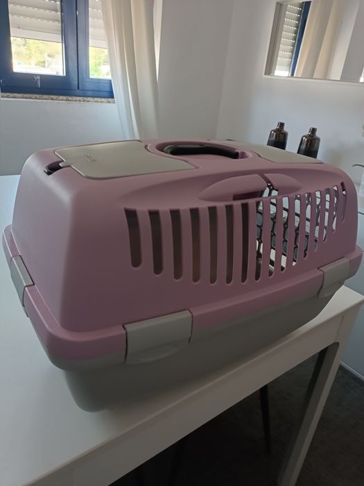 Transporte de animais