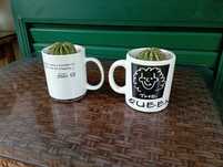 Canecas com catos