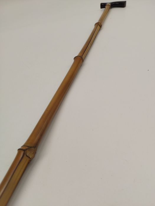 Laska bambusowa do podpierania się