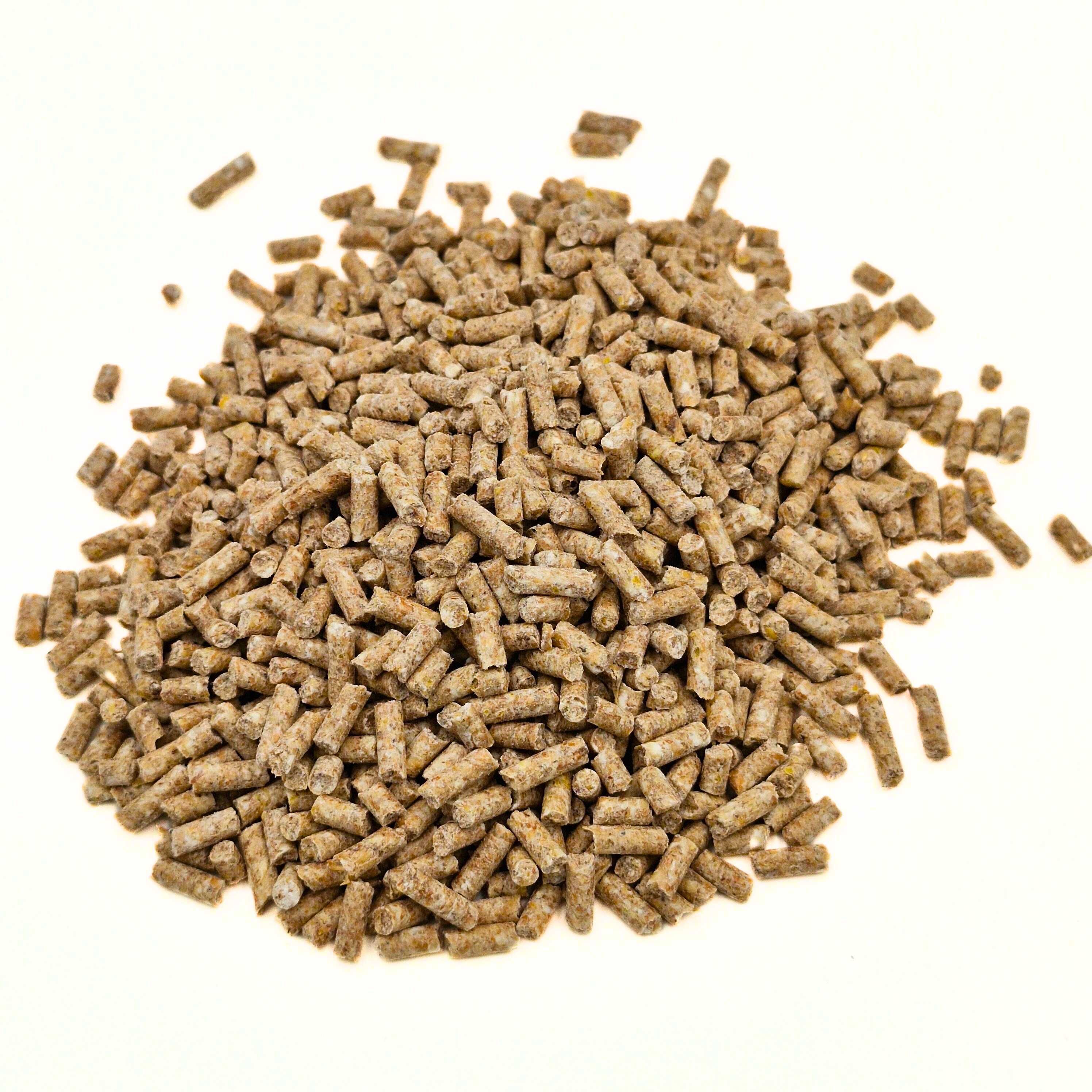 PASZA GRANULAT dla kur niosek DJ - 25 kg KOJPASZ