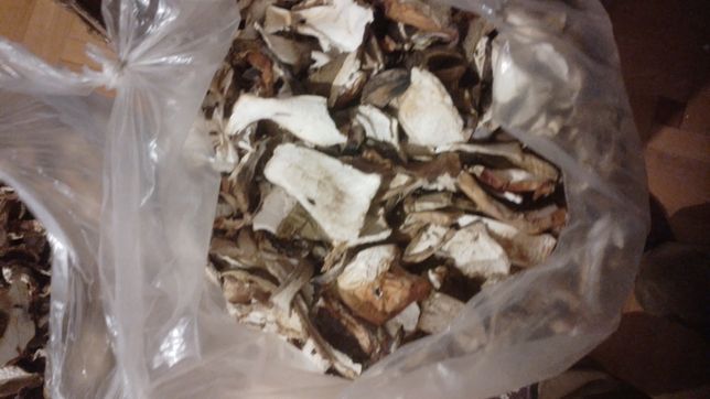 Продам сушені гриби