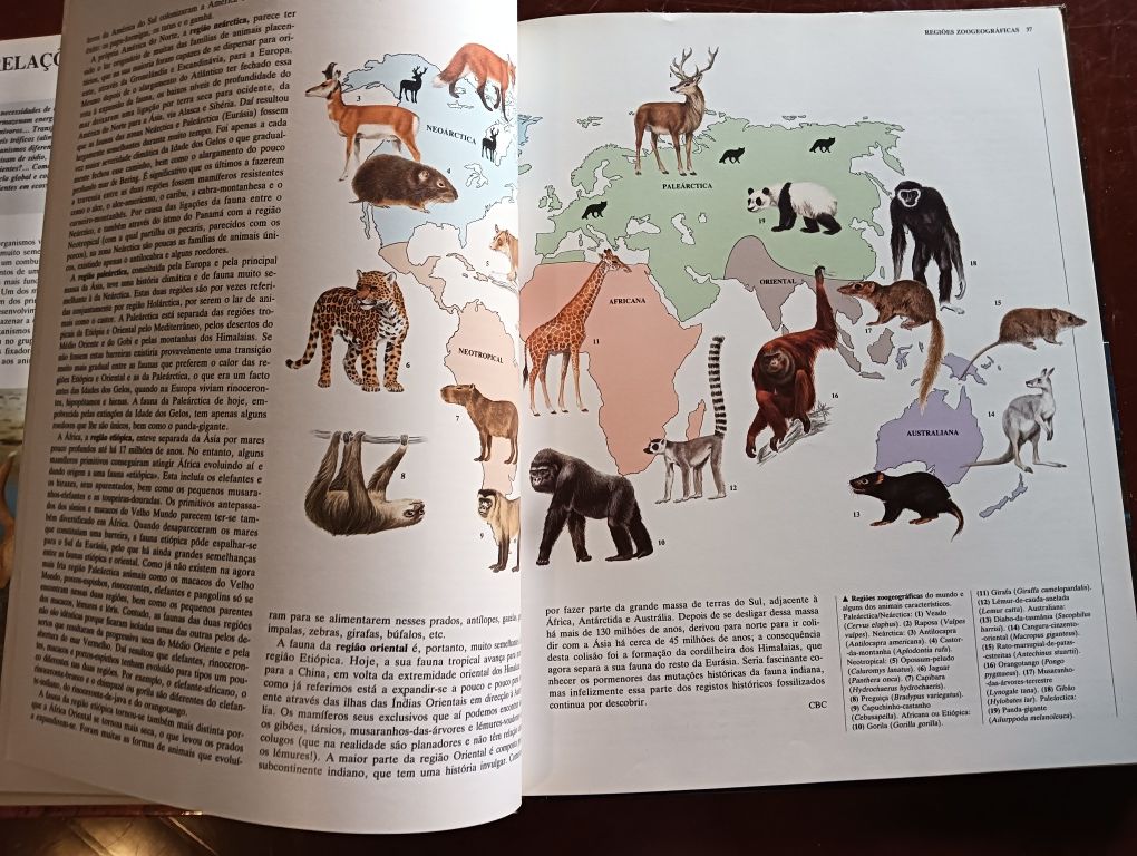 Ecologia animal Coleção Animais de todo o Mundo do Circulo de Leitores