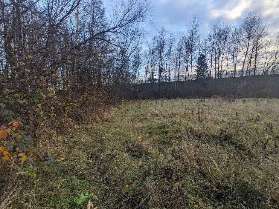 Продається дачна ділянка 10 сот в СТ Діброва (10)