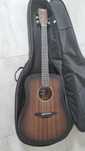Gitara Vintage V440WK