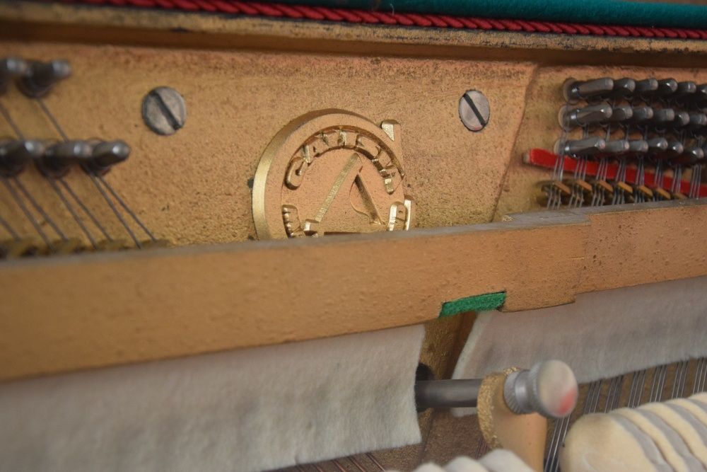 Piękne Białe pianino Calisia