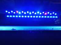 Lampy akwarium morskie LED 54w 60w i  39w t6