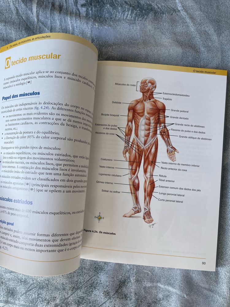 Livro de Anatomia e Fisiologia