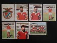 Cromos SL Benfica 1967/68