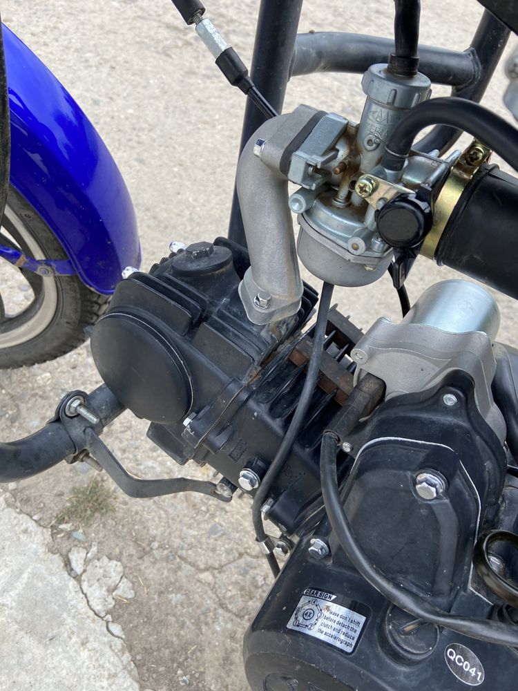 Alpha forte ft125