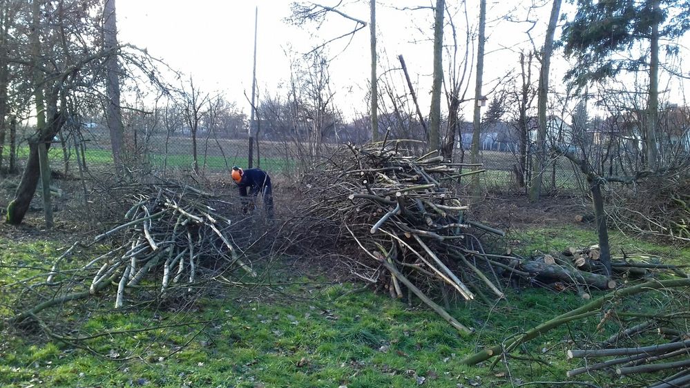 Wycinka i pielęgnacja drzew Rębak Czyszczenie koszenie działek karczow