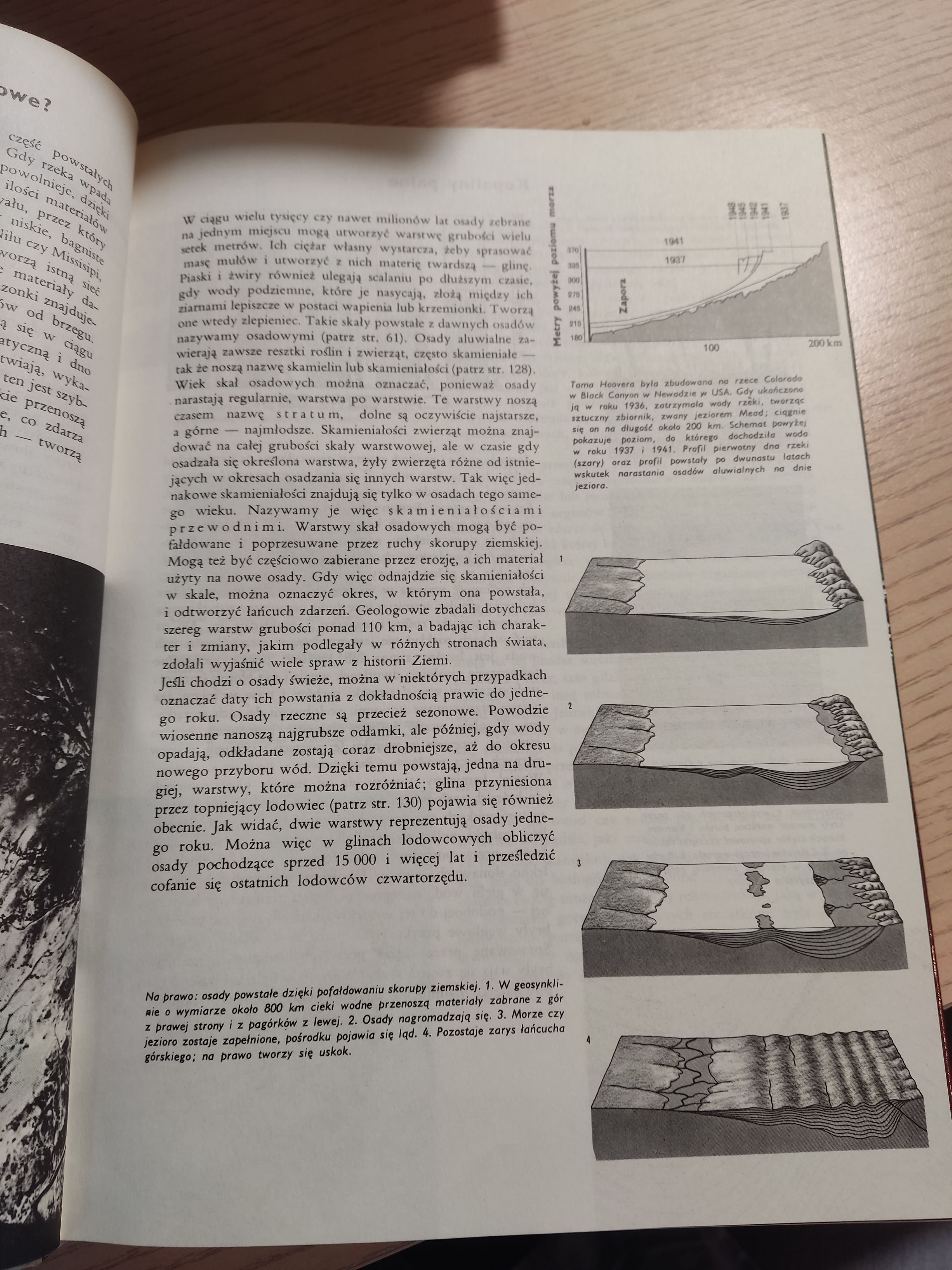 Larousse Ziemia Rośliny Zwierzęta przyroda geologia fauna flora