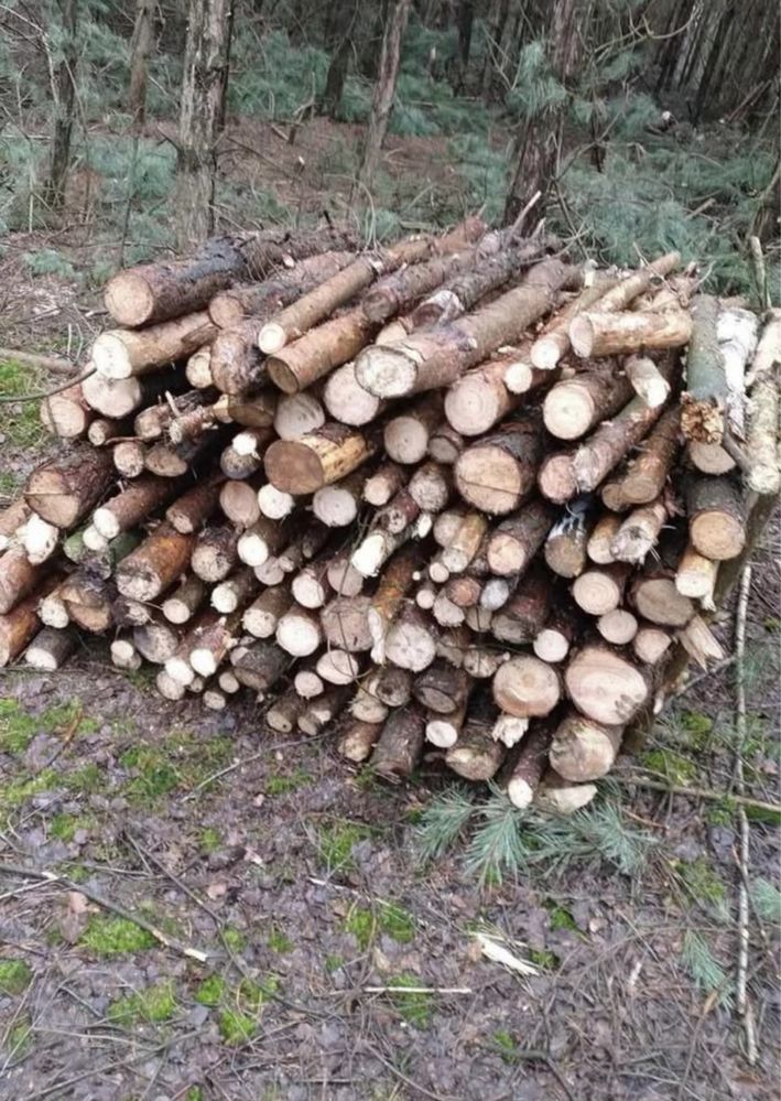 Sprzedam drewno opałowe