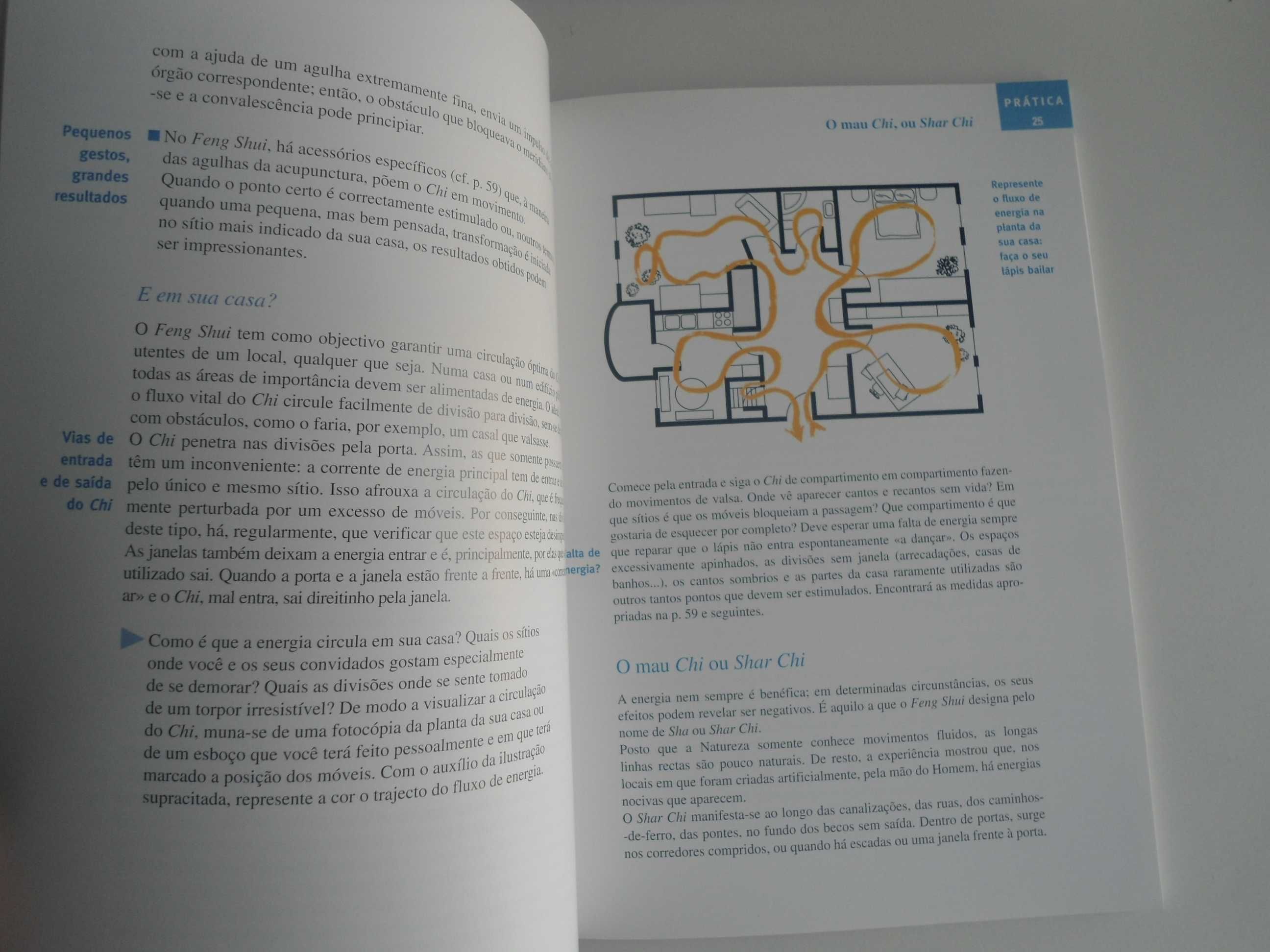 FENG SHUI  do lar saudável por Gunter Sator