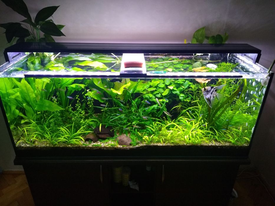 Zestaw akwarium 320l co2