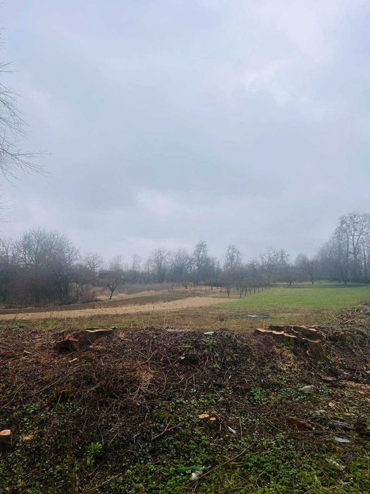 Продається земельна ділянка в с. Парпурівці 2187