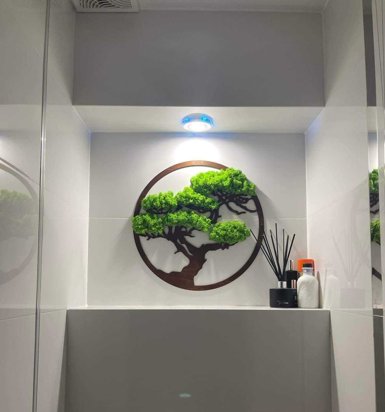 Obraz, bonsai ,mech chrobotek reniferowy, ściany z mchu,dekoraje