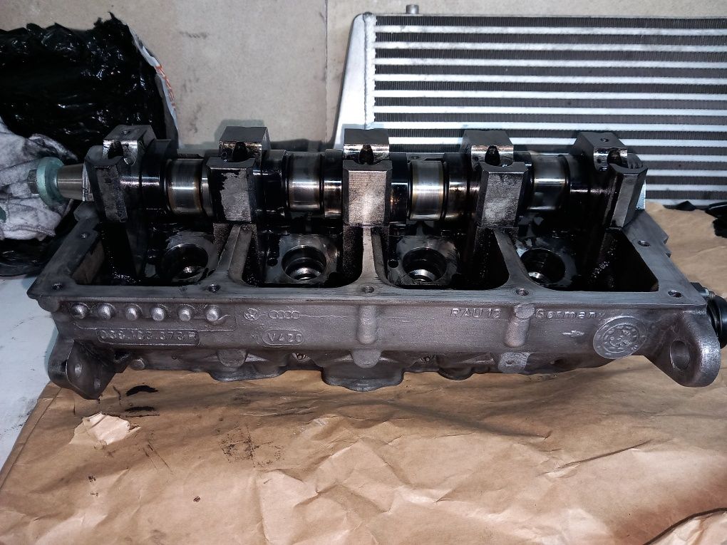 Firad +80 % cabeça PD