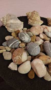 Морські камінці для акваріуму