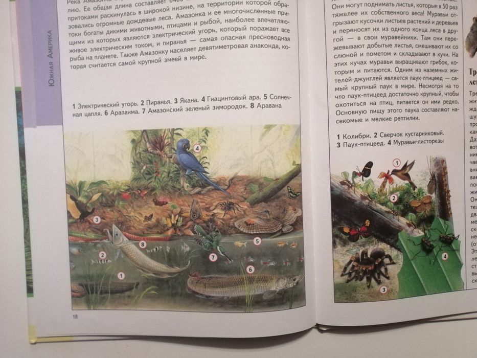 Детский иллюстрированый атлас животные для школьников