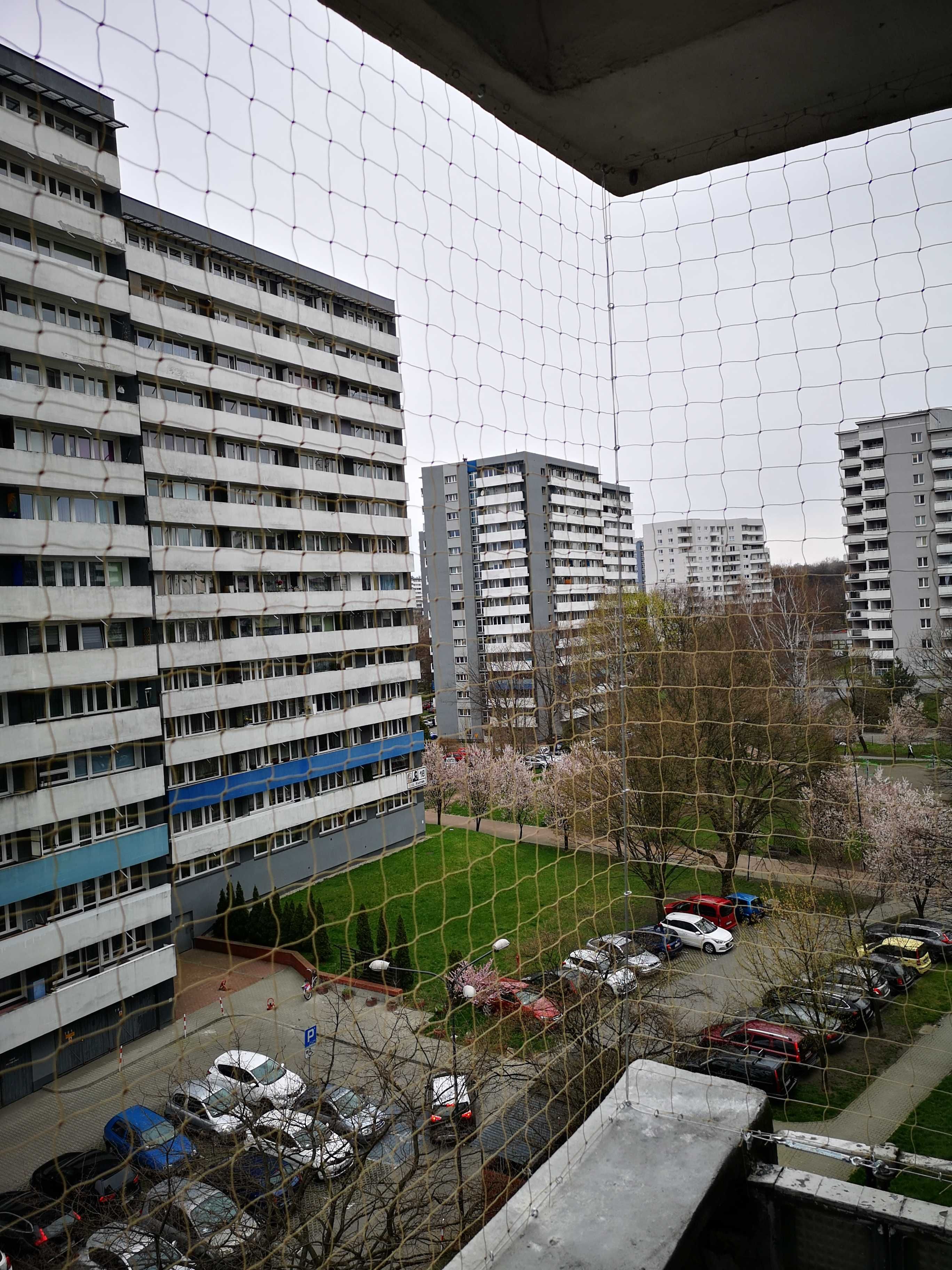 Siatka dla kotów na balkon. Krótkie terminy.