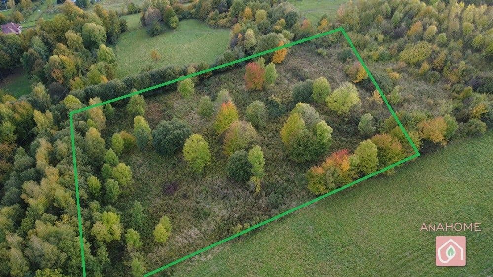 Zainwestuj w Ziemię! 1,28 ha Spokoju w Rozdzielu, gm. Lipinki