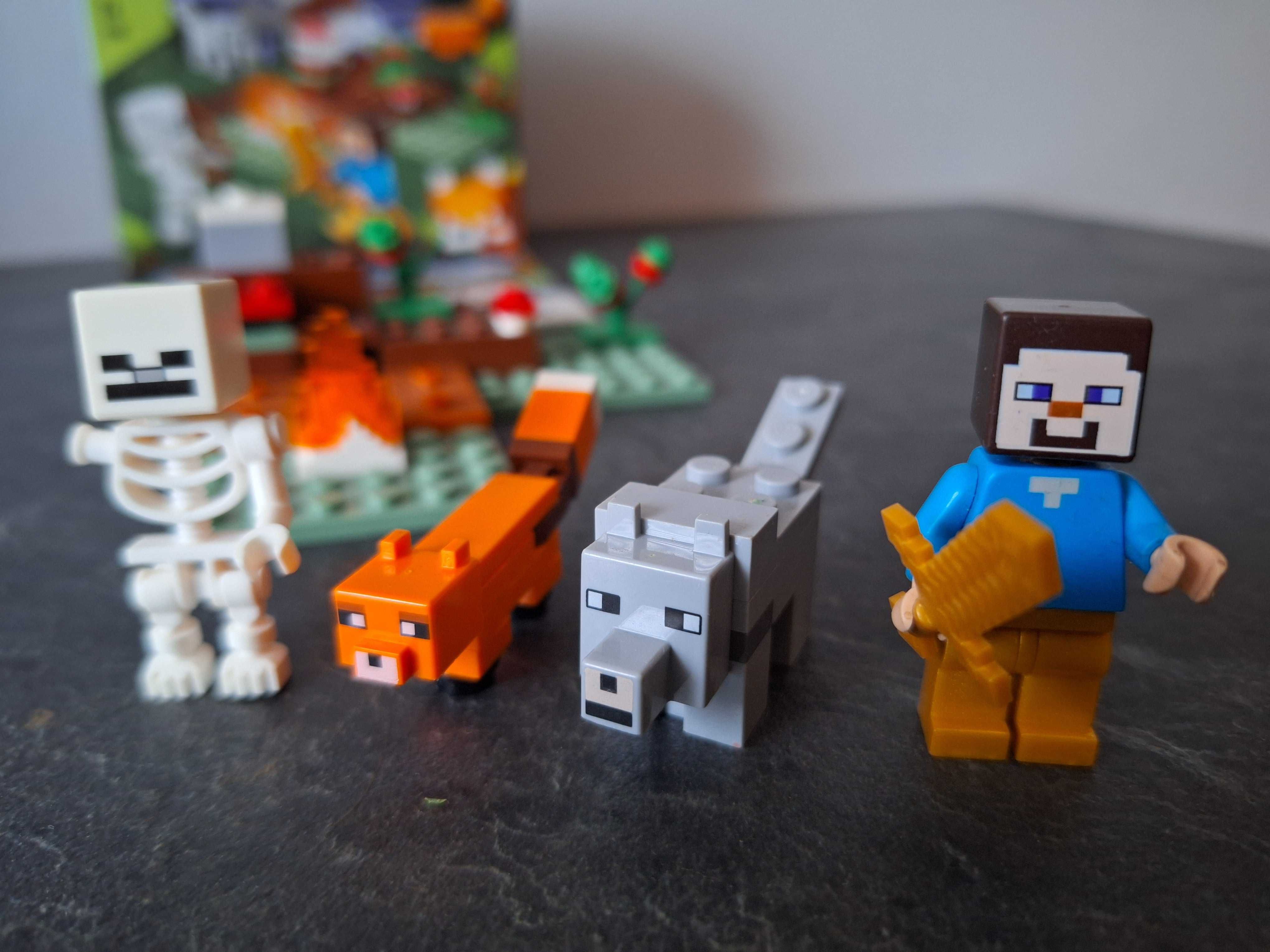 Oryginalne klocki Lego Minecraft 21162