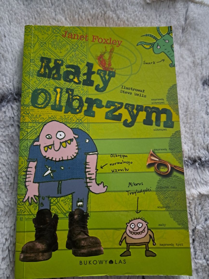 Mały olbrzym książka jak nowa !