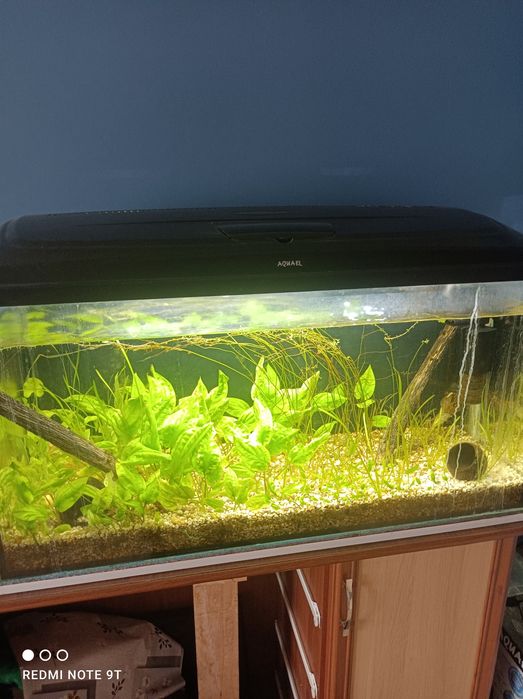 Akwarium 200 litrów z filtrem i grzałką