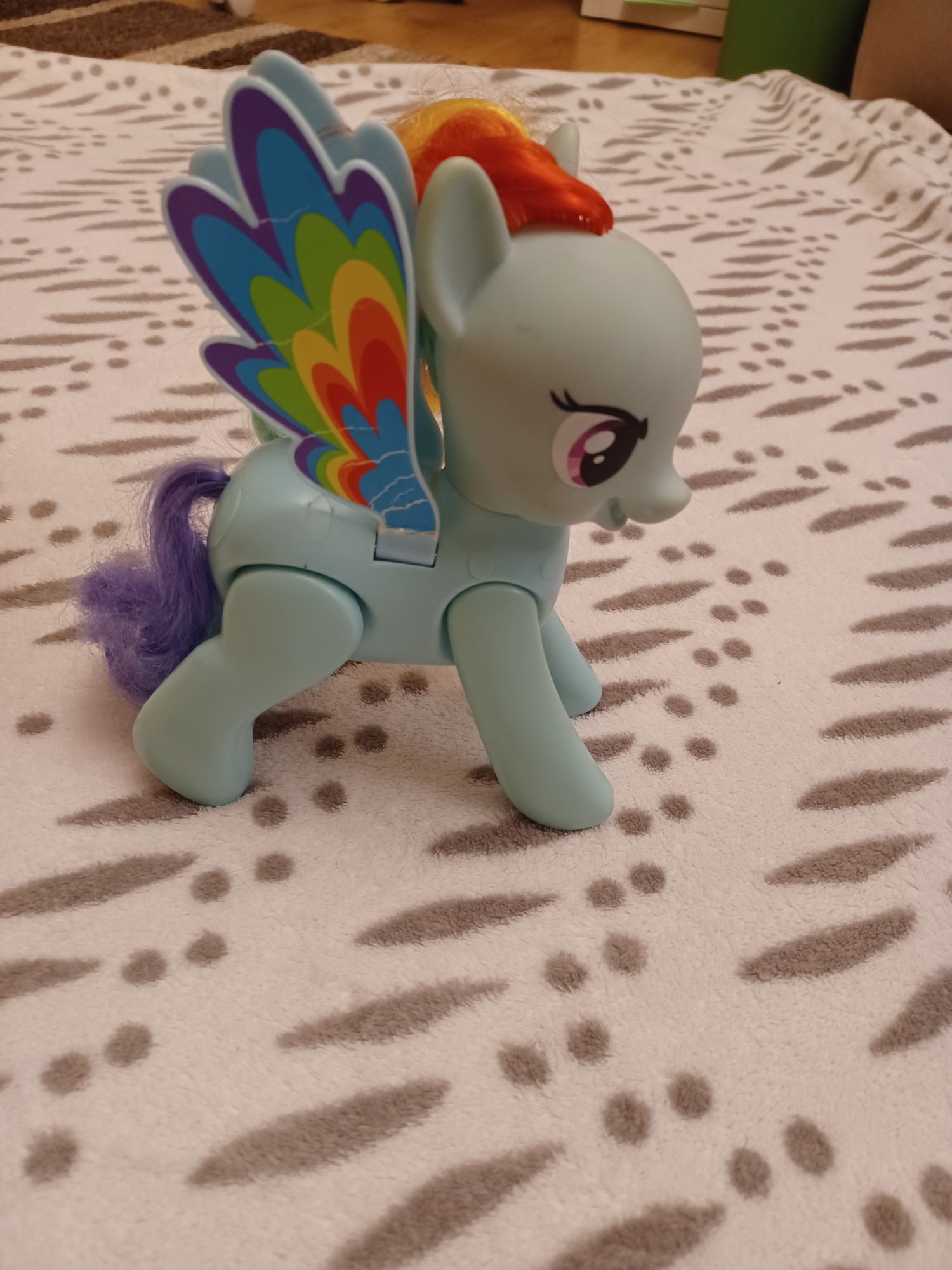 Konik Rainbow Dash