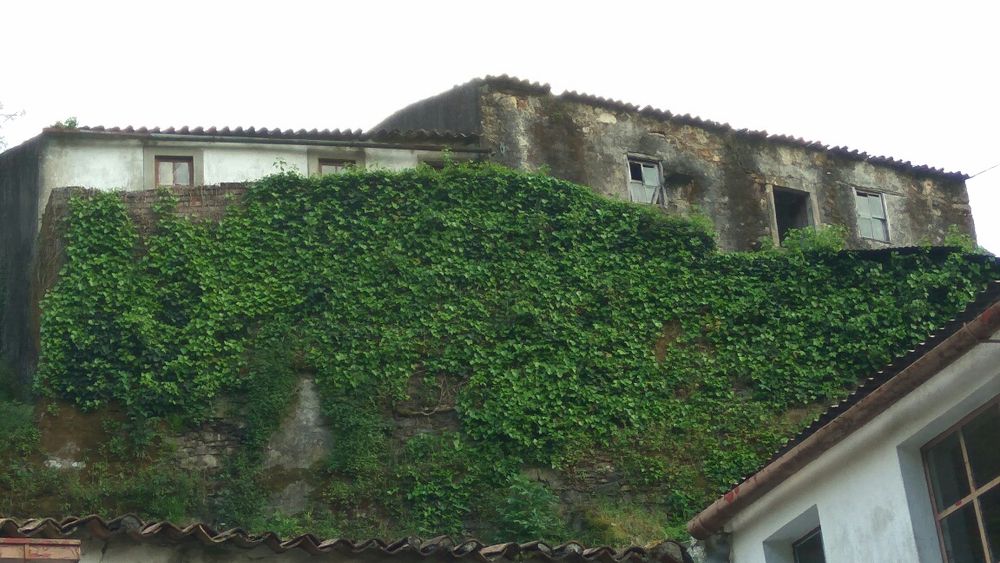 Vende se Casa com Quintal