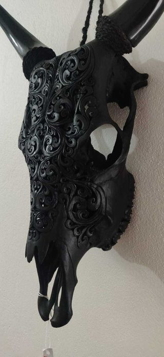 Crânio de vaca - Bali (Indonésia)