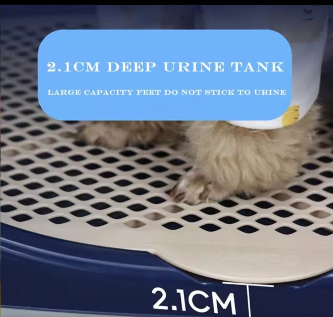 Ubikacja dla psa